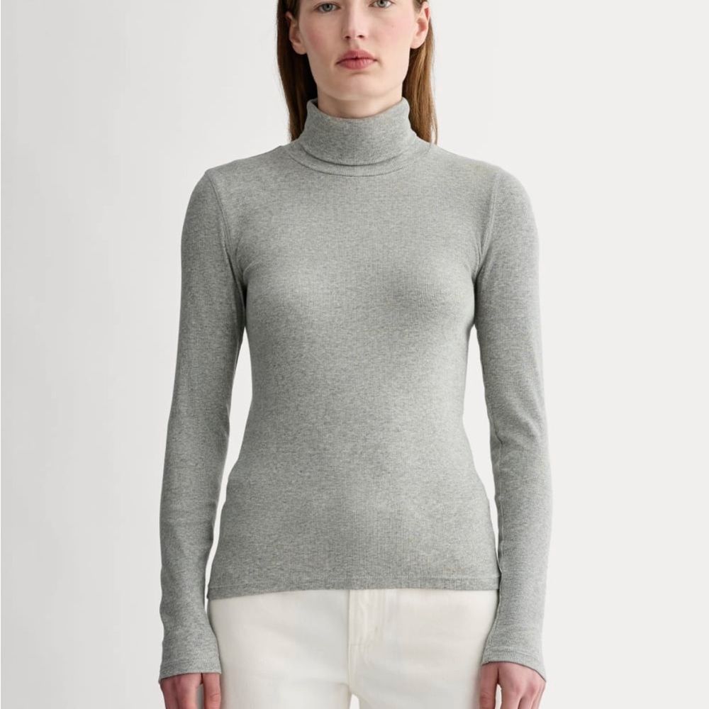 Everlane The Luxe Rib Turtleneck